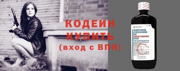 тгк Елизово