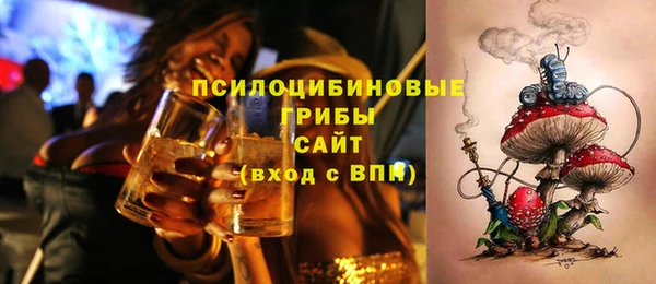 прущий лед Ельня