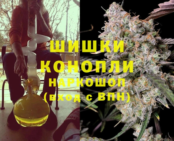 тгк Елизово