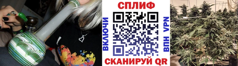 Шишки марихуана OG Kush  Купить  Приволжск 